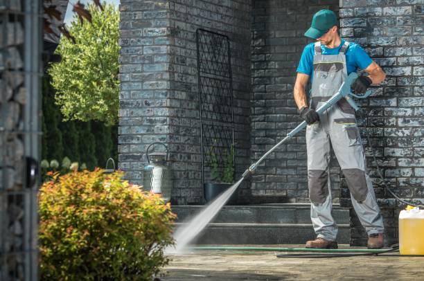 Animal Enclosure Cleaning in Emory, VA